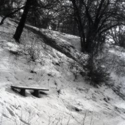 Bench on north slope of Hemlock Hill in winter above Lake Marmo inlet