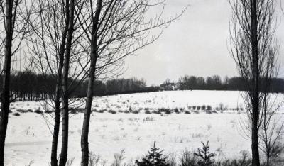 Crabapple area in winter looking toward Thornhill
