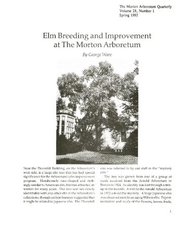 Elm Breeding and Improvement at The Morton Arboretum