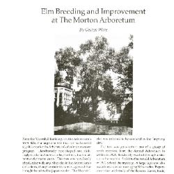 Elm Breeding and Improvement at The Morton Arboretum