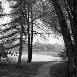 Meadow Lake along Illinois Trees Trail Loop
