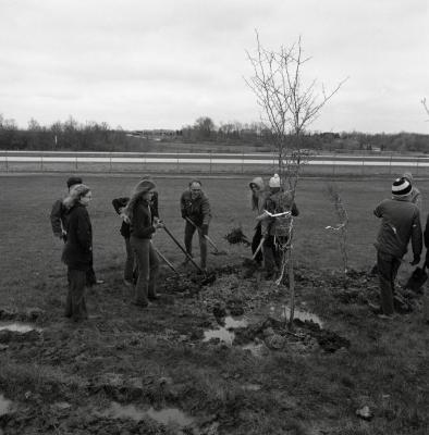 Arbor Day Centennial, Centennial Grove tree planting, Dick Wason and group shoveling dirt over newly planted tree