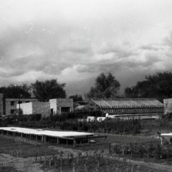 Greenhouse and nursery plot with Administration Building behind