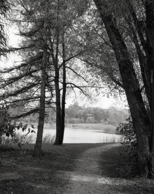 Meadow Lake along Illinois Trees Trail Loop