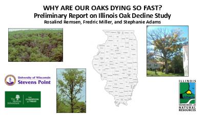 Site and Soil Characteristics Driving White Oak Decline in the Chicago Region by Rosalind Remsen, University of Wisconsin Stevens Point; Fredric Miller, Senior Scientist-Entomology; Stephanie Adams, Plant Health Care Leader
